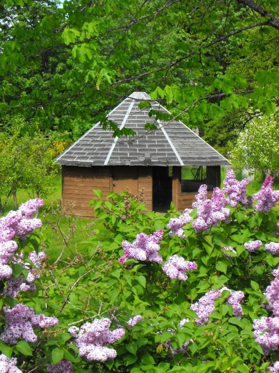 Lake Trail Guesthouse Cumberland Exterior foto